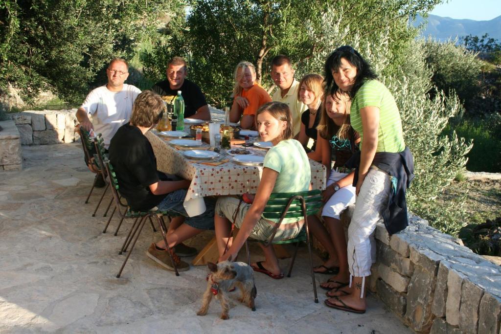 בריסט Apartments Pansion Franka מראה חיצוני תמונה
