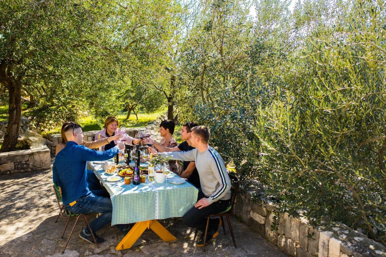בריסט Apartments Pansion Franka מראה חיצוני תמונה